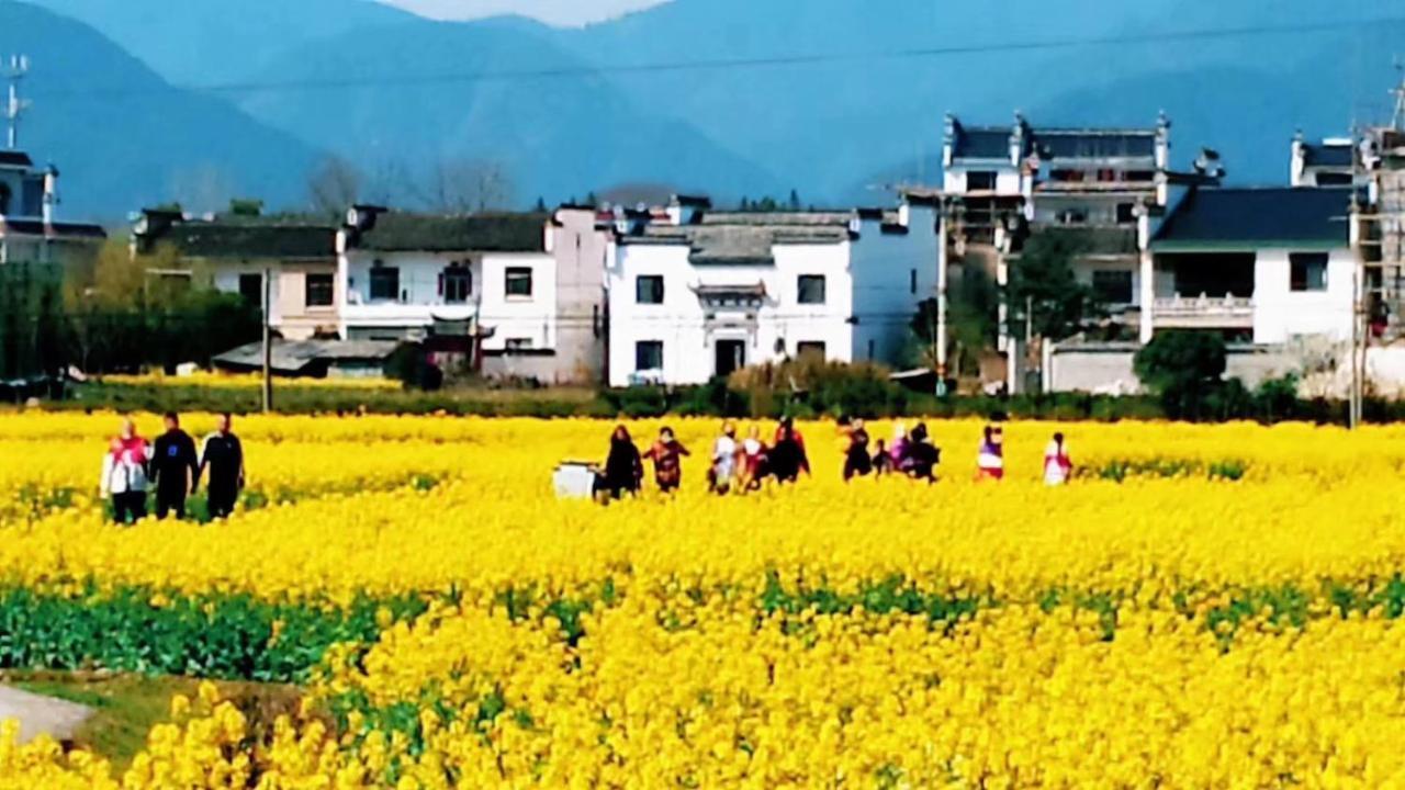 Xishan Wutong Qinyuan هوانغشان المظهر الخارجي الصورة