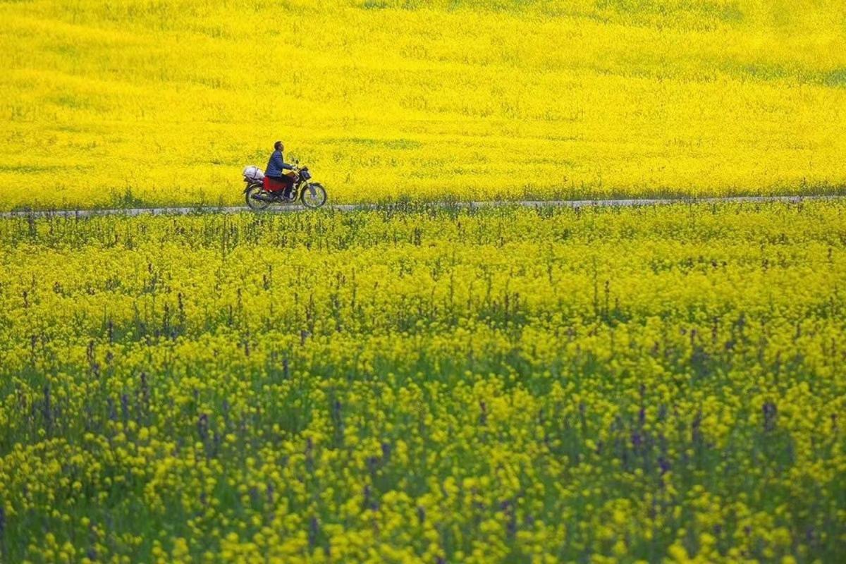 Xishan Wutong Qinyuan هوانغشان المظهر الخارجي الصورة