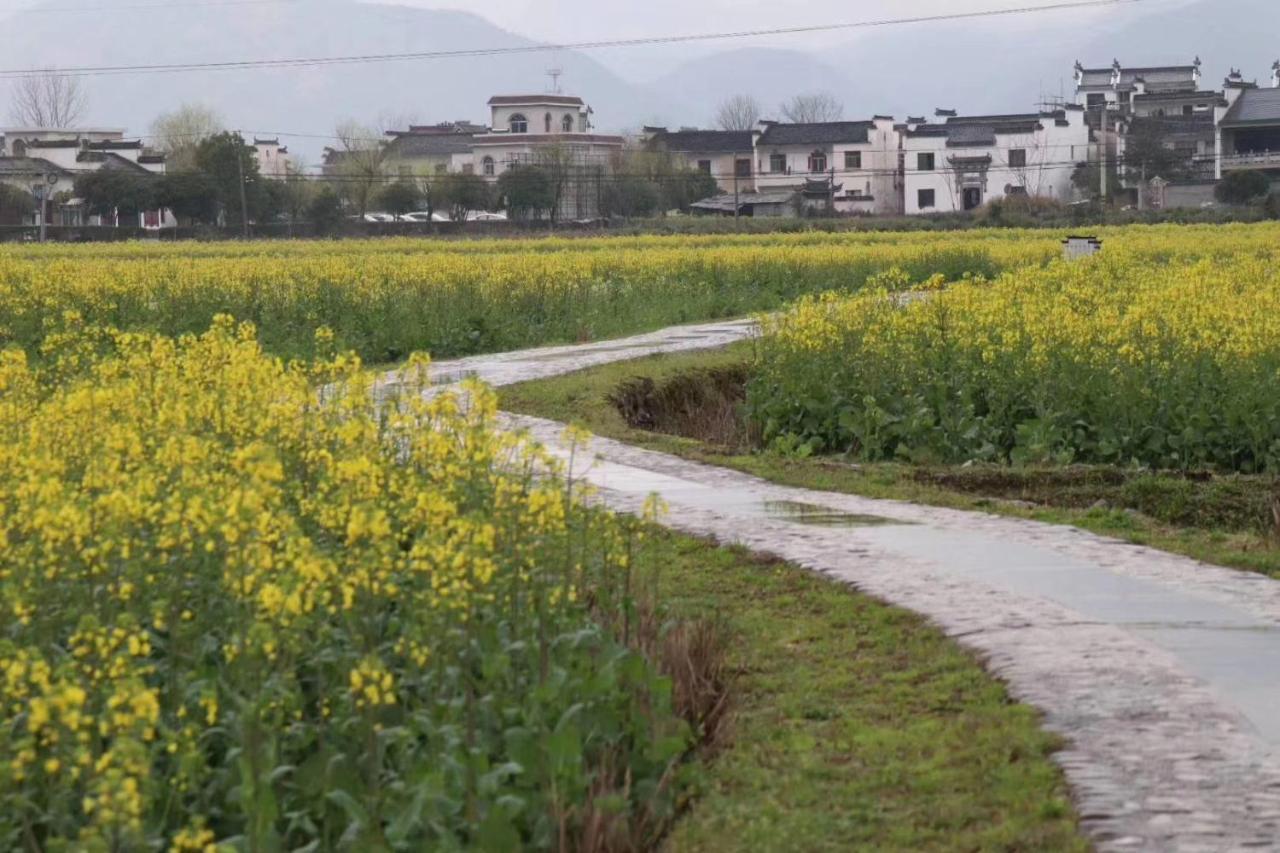 Xishan Wutong Qinyuan هوانغشان المظهر الخارجي الصورة