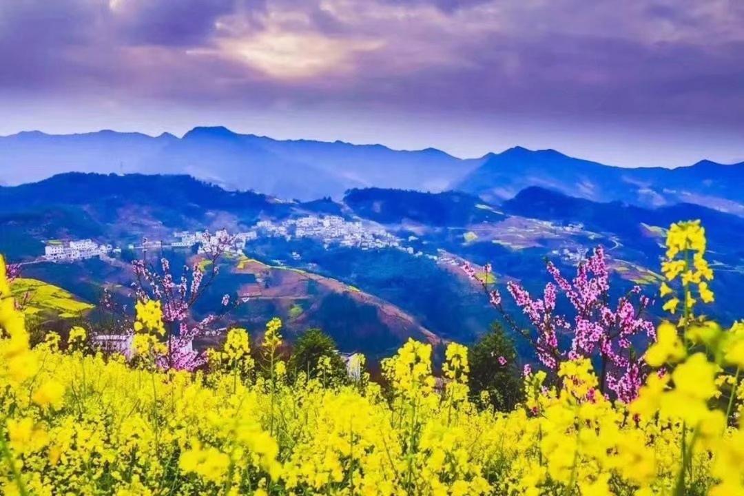 Xishan Wutong Qinyuan هوانغشان المظهر الخارجي الصورة